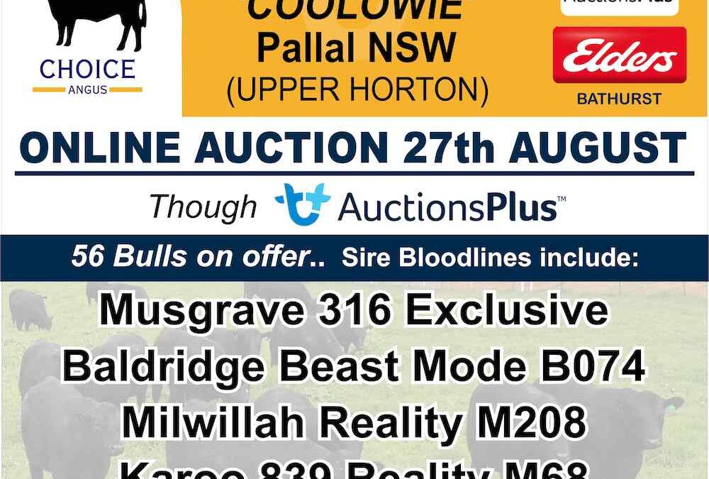 2021 Annual Bull Sale