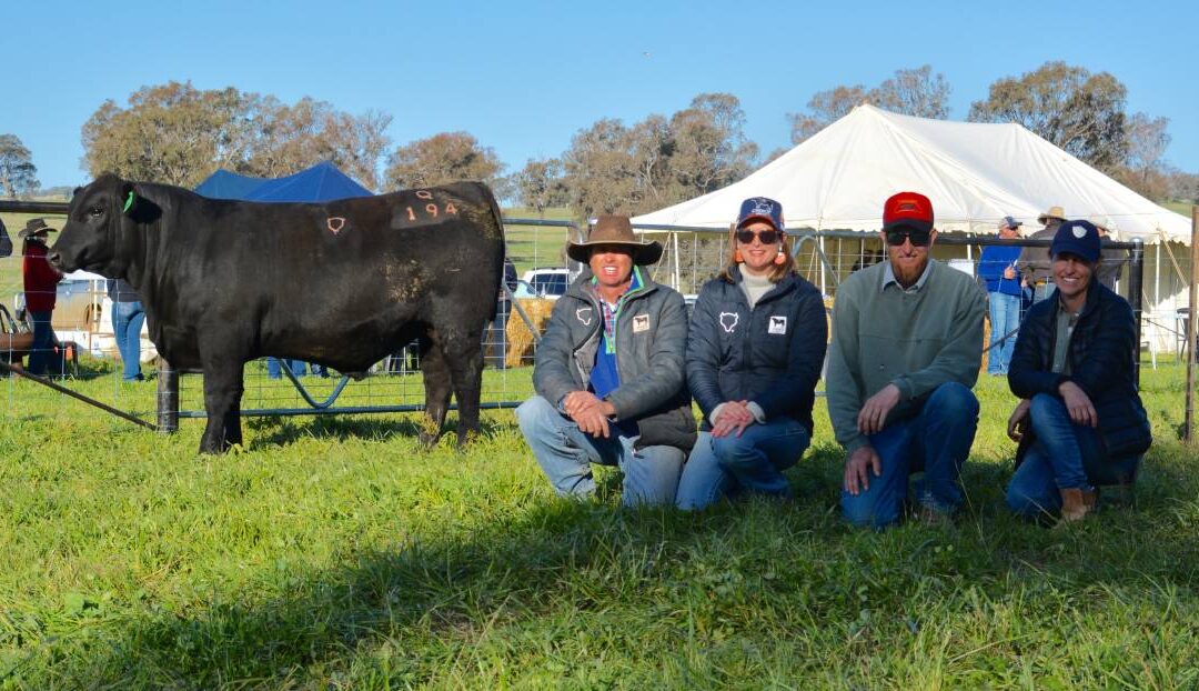 Choice Angus bull sale hits $9500 top, three times