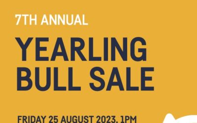 2023 Annual Bull Sale