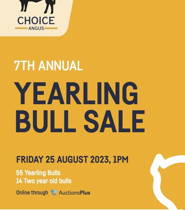 2023 Annual Bull Sale