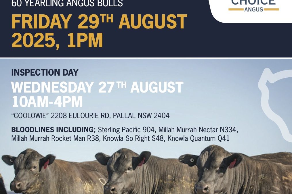 2025 Bull Sale